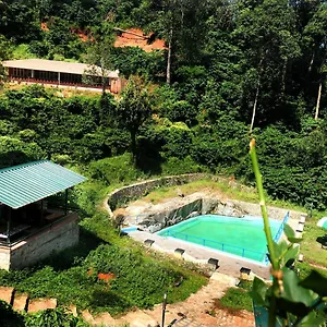 Cg-ala The Coffee Grove Vythiri